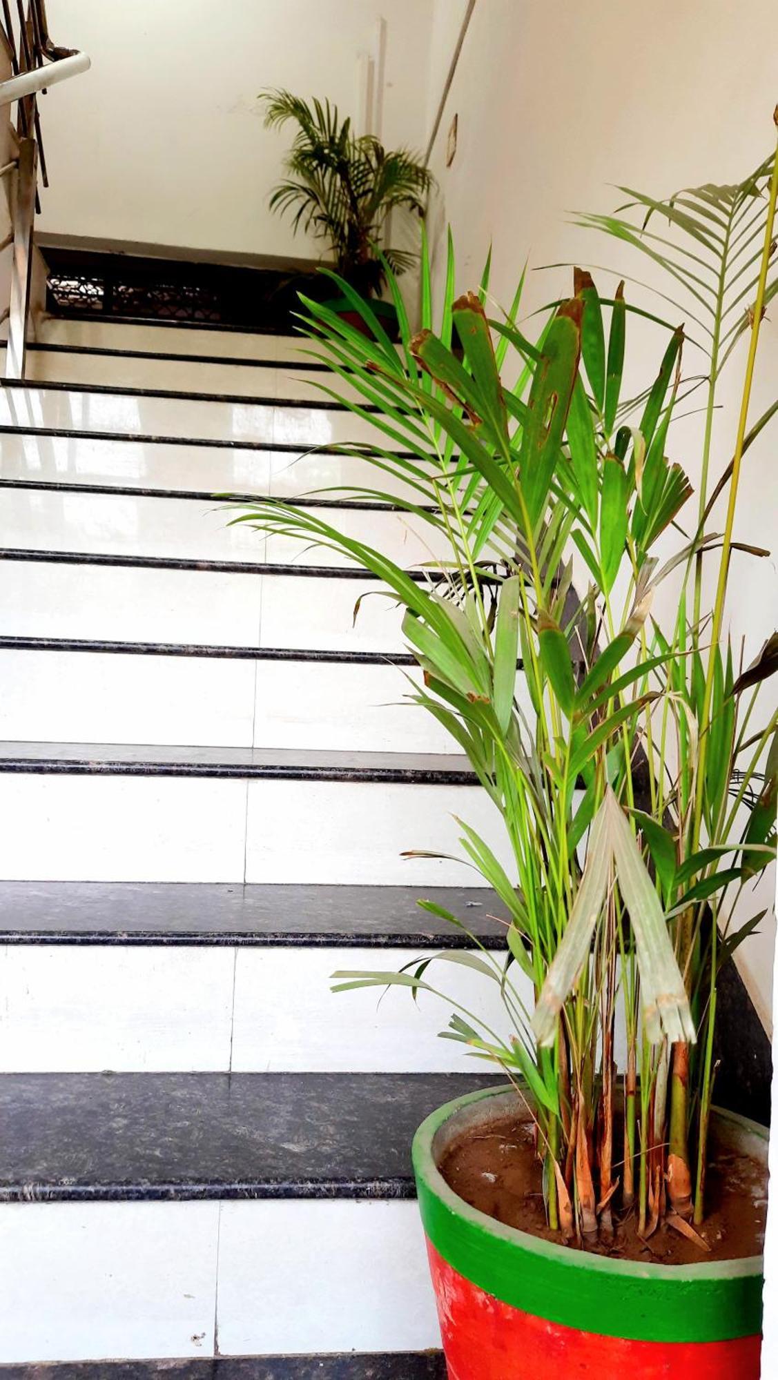 Hotel Season Ahmedabad Buitenkant foto