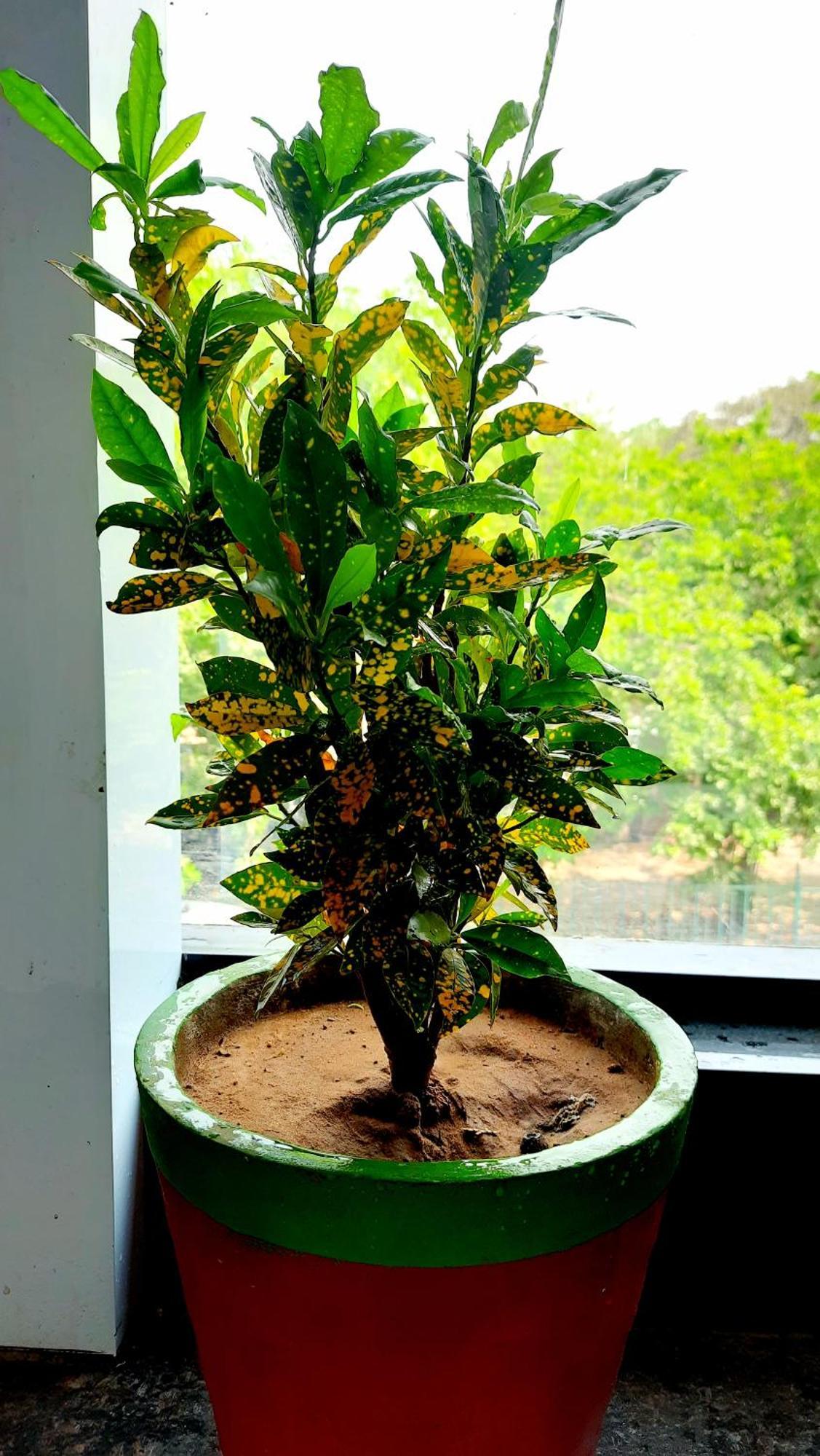 Hotel Season Ahmedabad Buitenkant foto